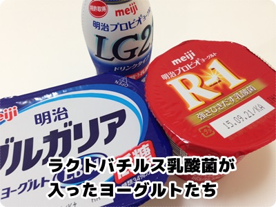 ラクトバチルス入りヨーグルト