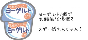 ヨーグルト