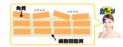 乾燥肌><noscript><img src=
