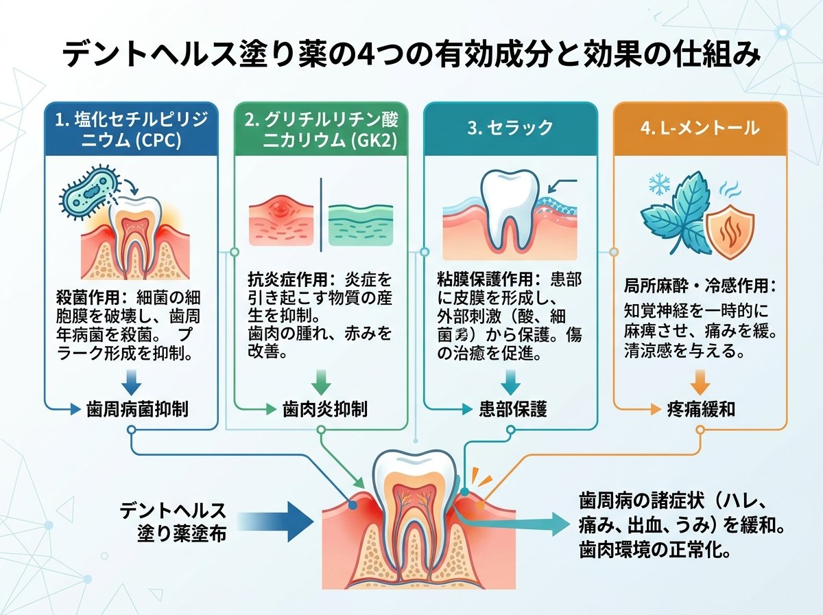 デントヘルス塗り薬の4つの有効成分と効果の仕組み