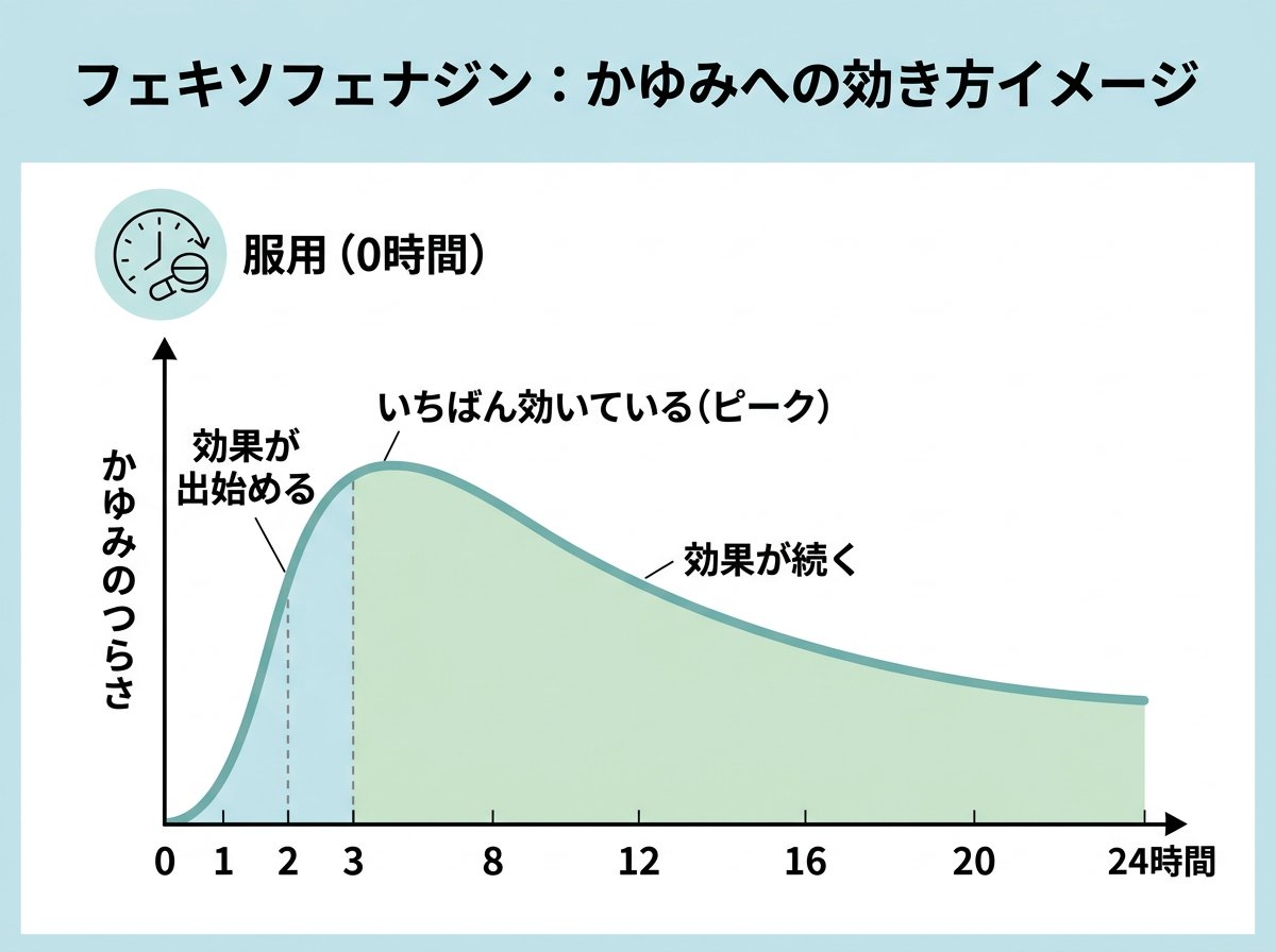 フェキソフェナジンの効果が出る時間とピーク