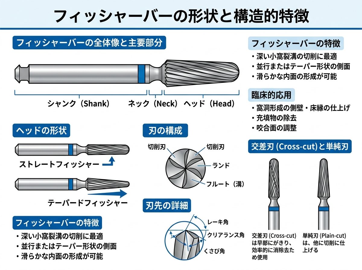 フィッシャーバーの形状と構造的特徴