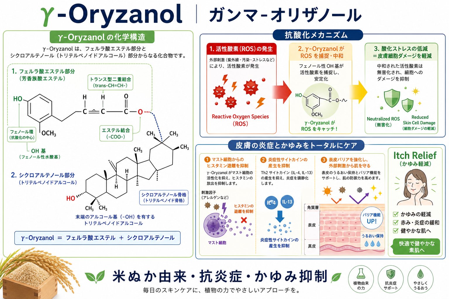 ガンマ-オリザノールの化学構造と抗酸化特性