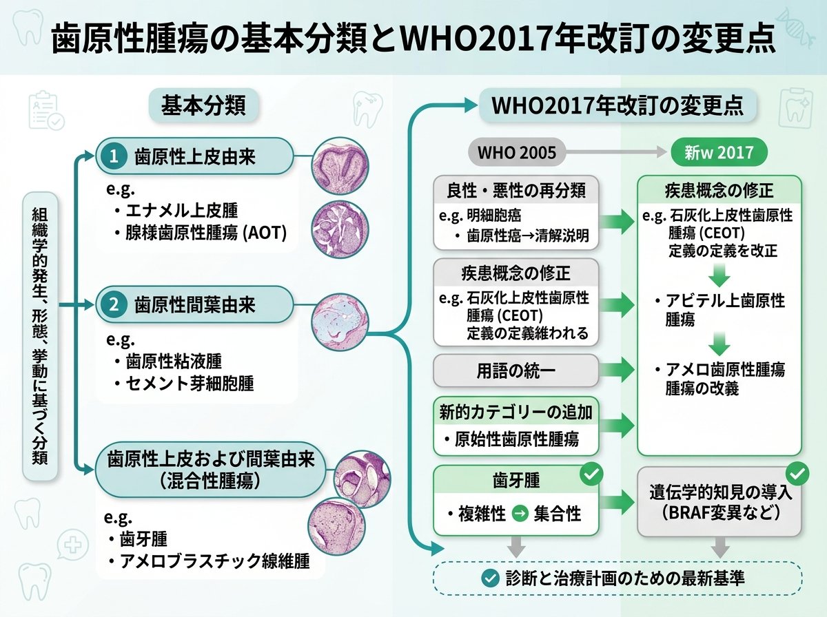 歯原性腫瘍の基本分類とWHO2017年改訂の変更点