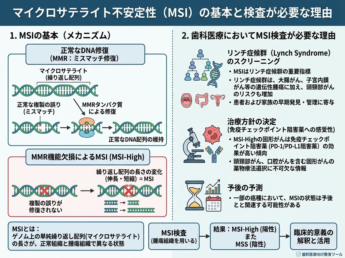 マイクロサテライト不安定性(MSI)の基本と検査が必要な理由