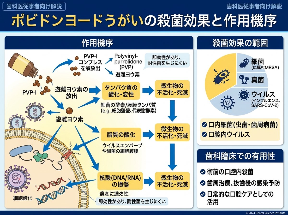 ポビドンヨード うがい の殺菌効果と作用機序