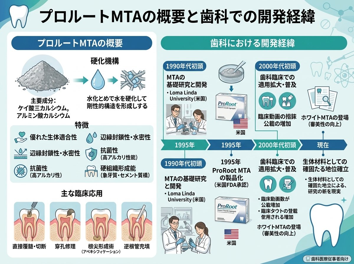 プロルートMTAの概要と歯科での開発経緯