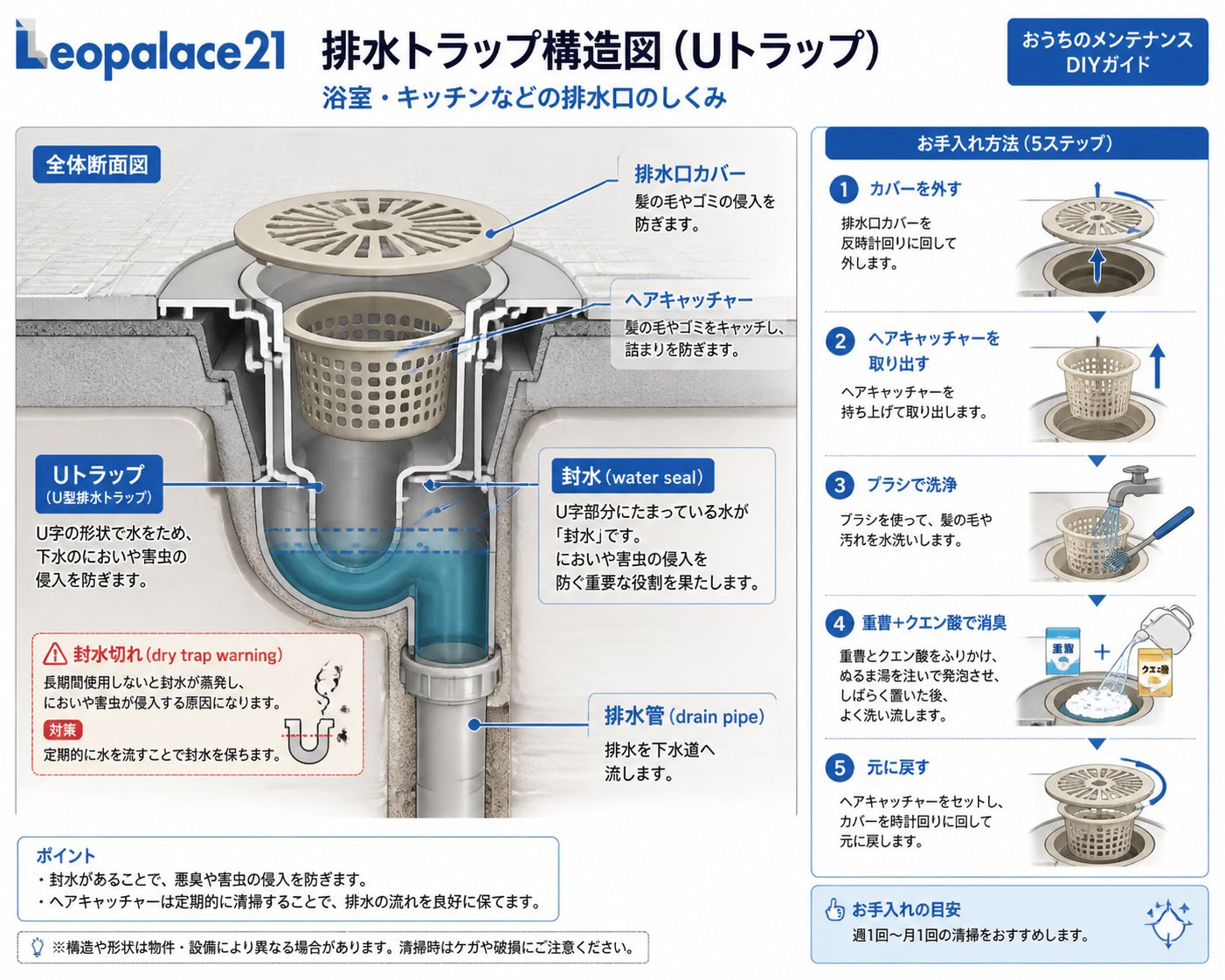 レオパレスの排水トラップ構造と清掃方法